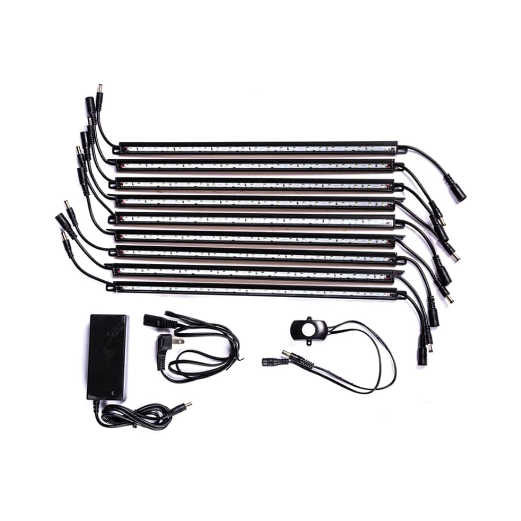 Rhino RSX6030 Raptor Series Gun Safe | UL RSC Rated / CA DOJ Compliant | 40 Long Gun Capacity | 80 Min Fire Protection