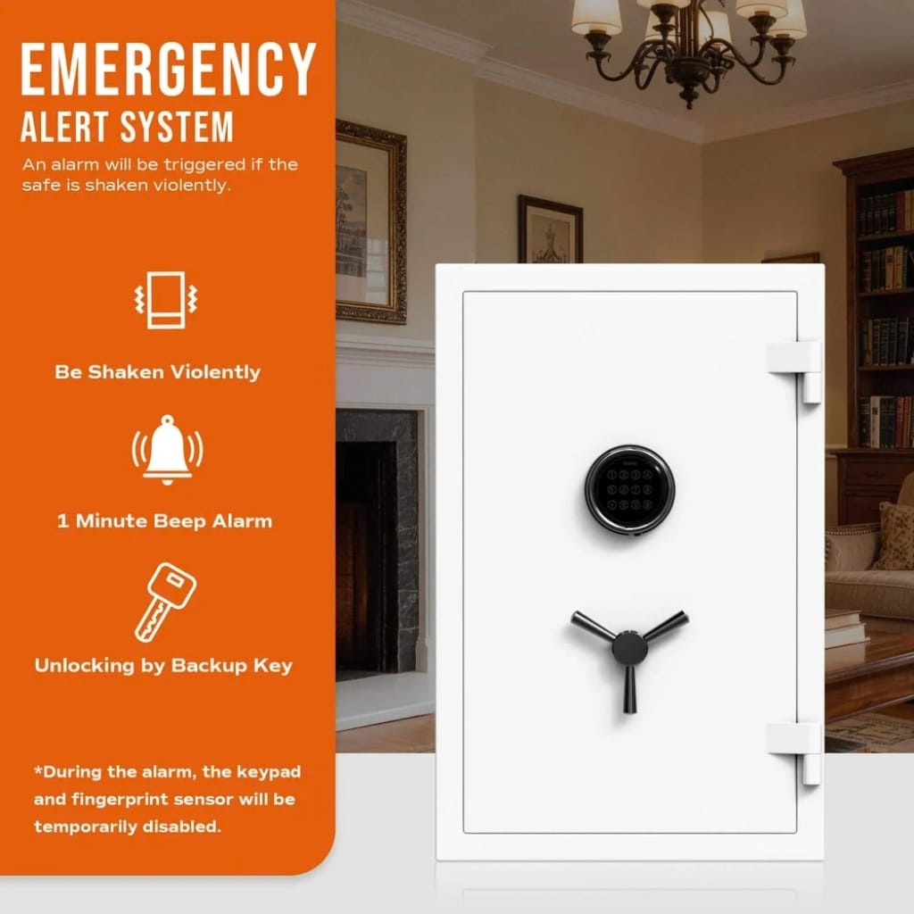 RPNB RPFS66 / RPEFS66W RPFS Series Home Safe | 30 Minute Fire Rated | Biometric Lock | 2.12 Cubic Feet